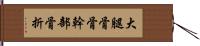 大腿骨骨幹部骨折 Hand Scroll