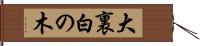 大裏白の木 Hand Scroll