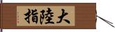 大陸指 Hand Scroll