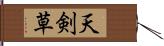 天剣草 Hand Scroll