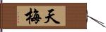 天梅 Hand Scroll