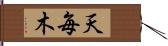 天毎木 Hand Scroll