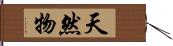 天然物 Hand Scroll