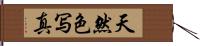 天然色写真 Hand Scroll