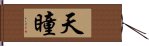 天瞳 Hand Scroll