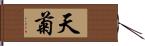 天菊 Hand Scroll