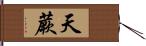 天蕨 Hand Scroll