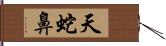 天蛇鼻 Hand Scroll