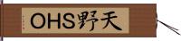 天野ＳＨＯ Hand Scroll