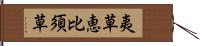 夷草 Hand Scroll