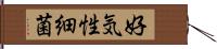 好気性細菌 Hand Scroll