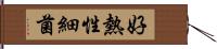 好熱性細菌 Hand Scroll