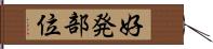 好発部位 Hand Scroll