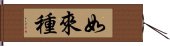 如來種 Hand Scroll