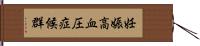 妊娠高血圧症候群 Hand Scroll