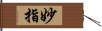 妙指 Hand Scroll