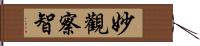 妙觀察智 Hand Scroll