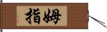 姆指 Hand Scroll