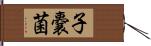 子嚢菌 Hand Scroll