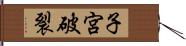 子宮破裂 Hand Scroll