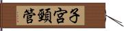 子宮頸管 Hand Scroll