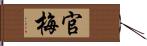 官梅 Hand Scroll