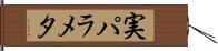 実パラメタ Hand Scroll