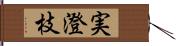 実澄枝 Hand Scroll