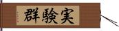 実験群 Hand Scroll