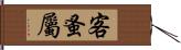 客蚤屬 Hand Scroll