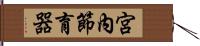 宮內節育器 Hand Scroll