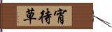宵待草 Hand Scroll