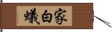 家白蟻 Hand Scroll