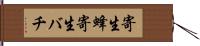寄生蜂 Hand Scroll