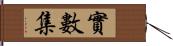 實數集 Hand Scroll