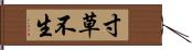 寸草不生 Hand Scroll