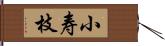 小寿枝 Hand Scroll