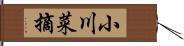 小川菜摘 Hand Scroll