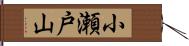 小瀬戸山 Hand Scroll