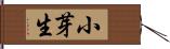 小芽生 Hand Scroll
