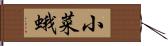 小菜蛾 Hand Scroll