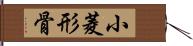 小菱形骨 Hand Scroll