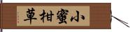 小蜜柑草 Hand Scroll