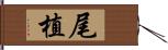 尾植 Hand Scroll