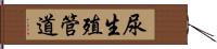 尿生殖管道 Hand Scroll