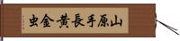 山原手長黄金虫 Hand Scroll