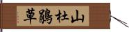 山杜鵑草 Hand Scroll