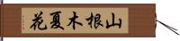 山根木夏花 Hand Scroll