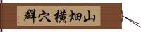 山畑横穴群 Hand Scroll