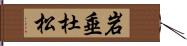 岩垂杜松 Hand Scroll